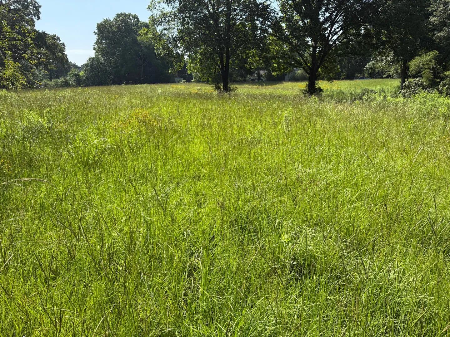 37 acres in Pleasant Grove - Pleasant Grove, Alabama, 35127