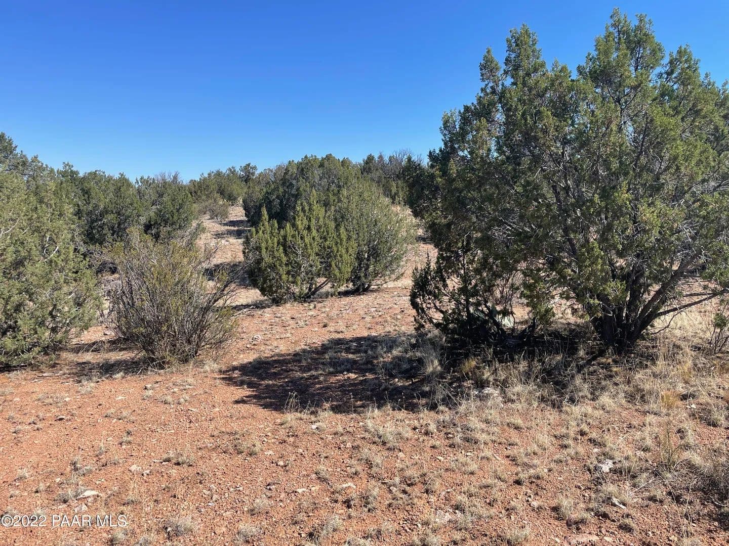 Property from 30134 W Alpia Circle - KW - Seligman, Arizona, 86337