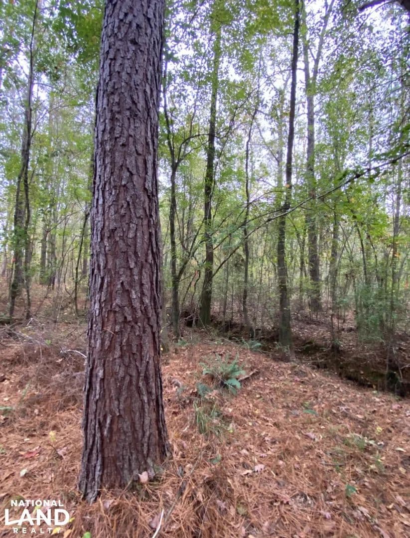 Chelsea Fourmile Creek Tract - Chelsea, Alabama, 35043
