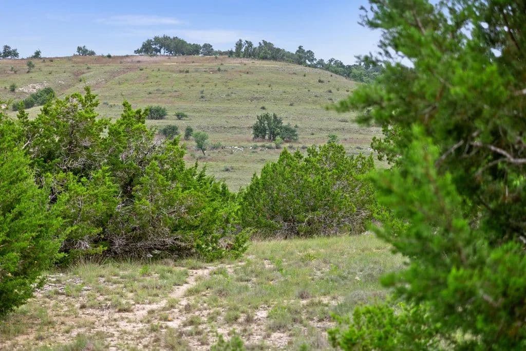 5 Acres of Land for Sale in Blanco, Texas - Blanco, Texas, 78606