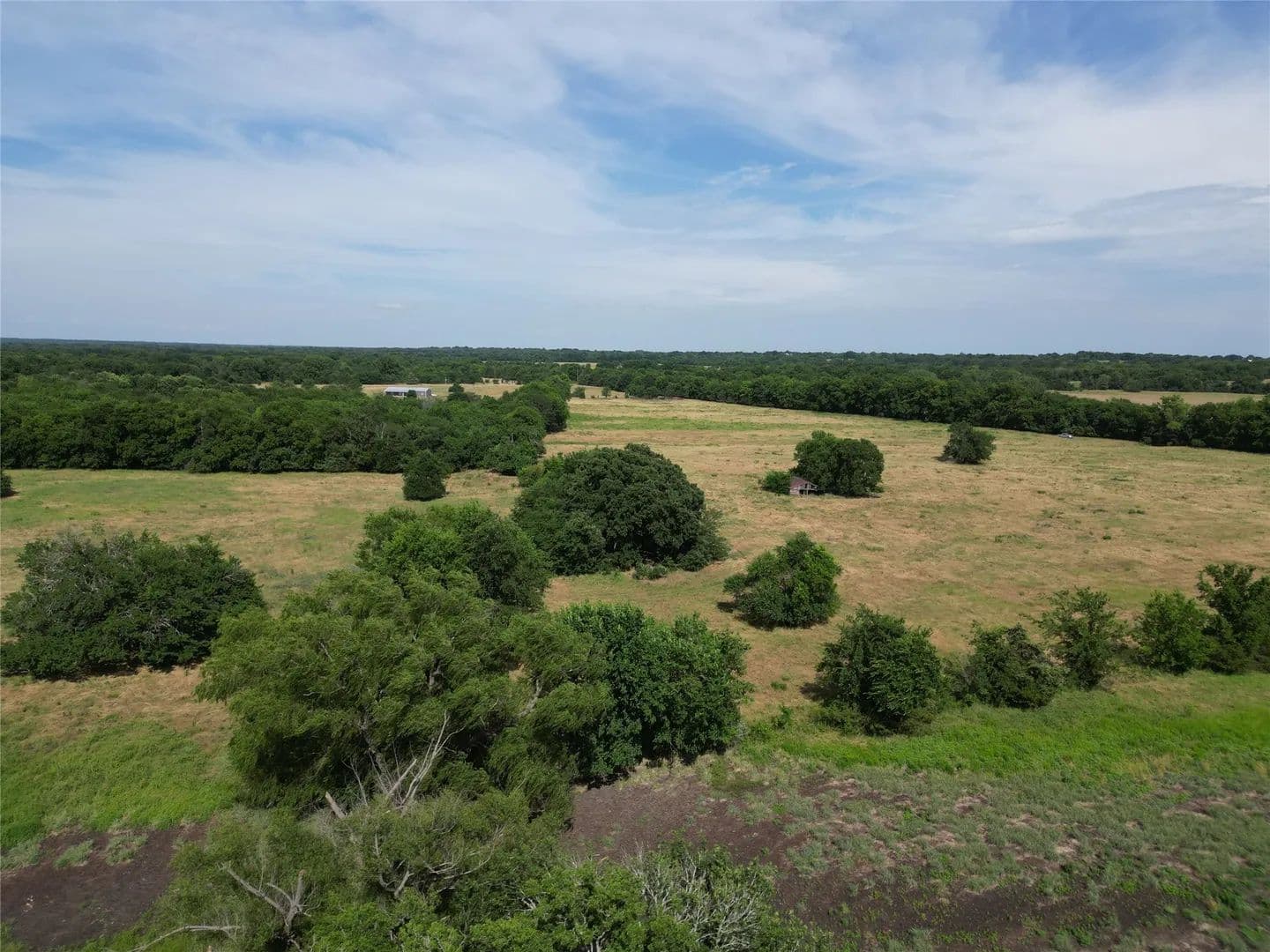 56.7 Acres of Land for Sale in Pecan Gap, Texas - Pecan Gap, Texas, 75469