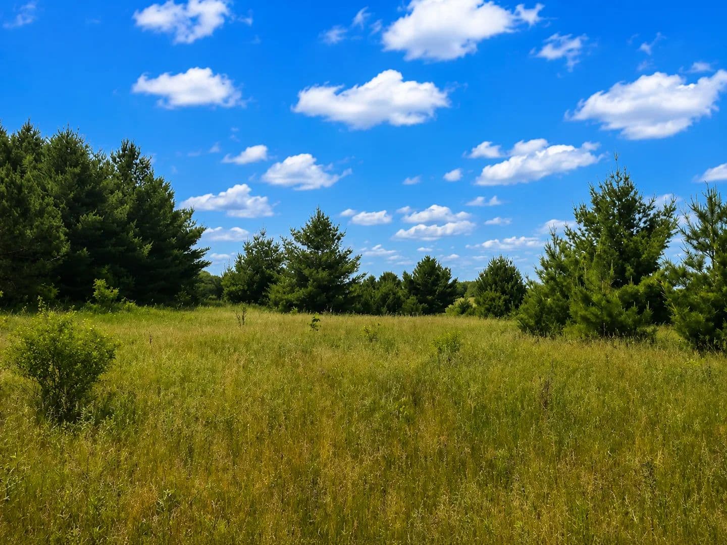 18.08 Acres of Land for Sale in Saint Croix Falls, Wisconsin - Saint Croix Falls, Wisconsin, 54024