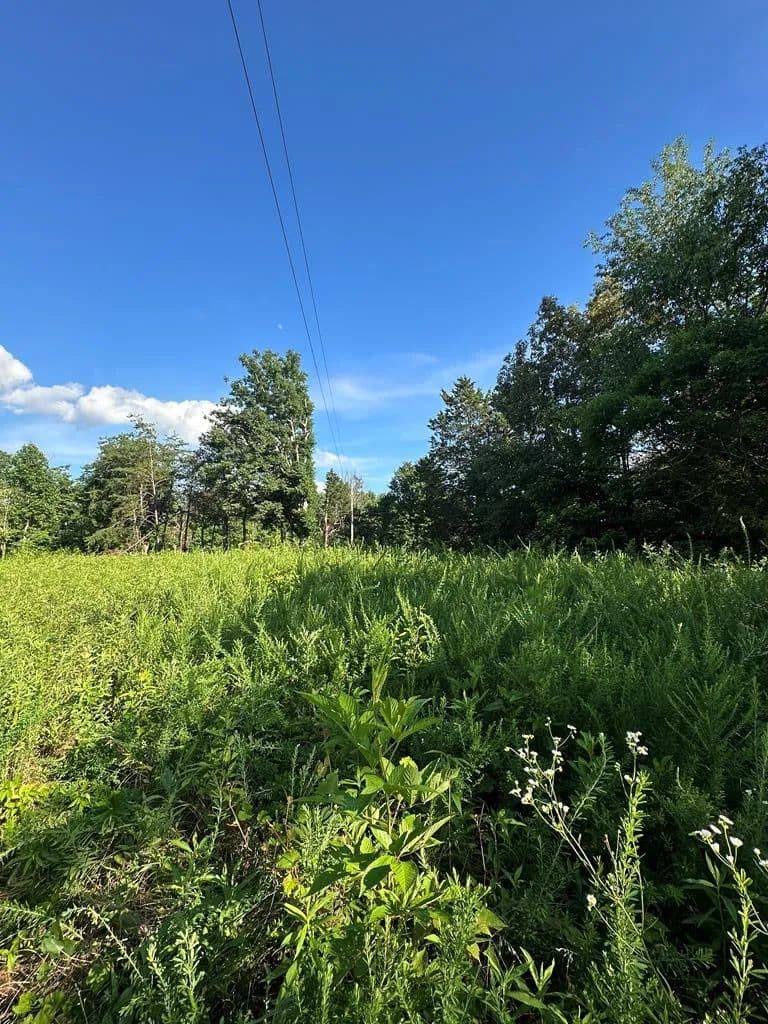6.26 Acres of Land for Sale in Hilham, TN - Hilham, Tennessee, 38568