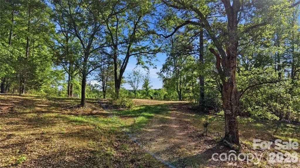 14.41 Acres of Land for Sale in Chester, South Carolina - Chester, South Carolina, 29706