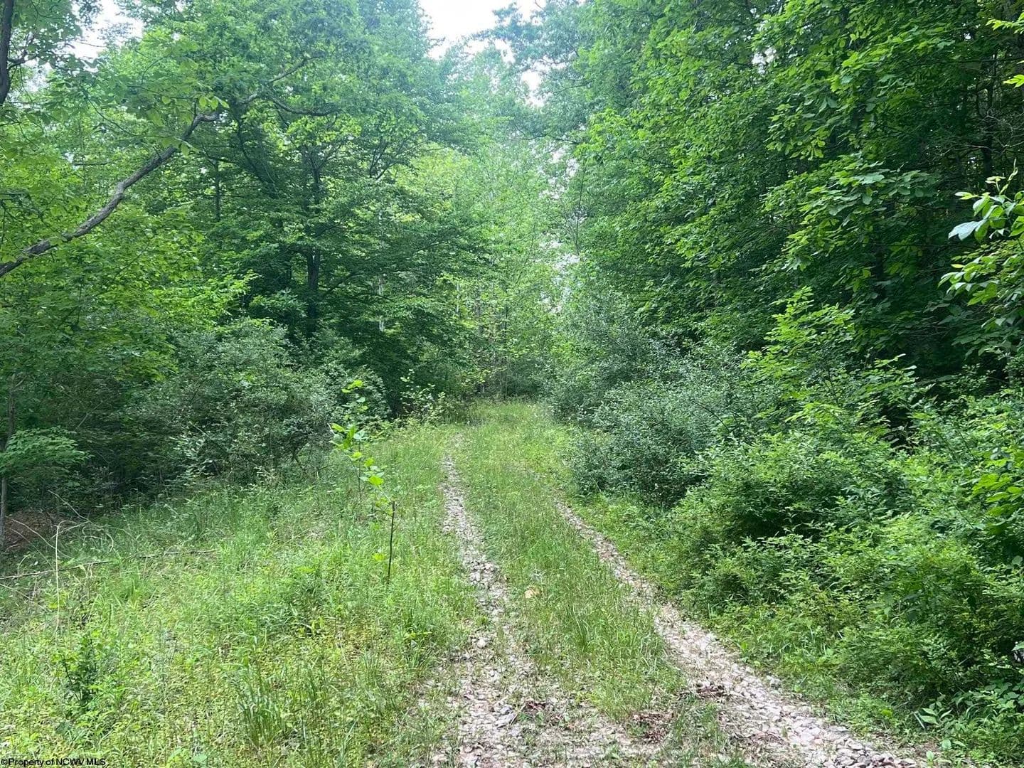 Property from TBD Keiths Fork Road - KW - Weston, West Virginia, 26452