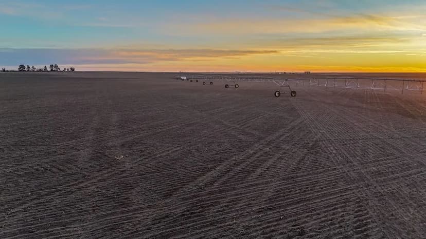 David & Julie Dirks Retirement Land Auction Parcel #2