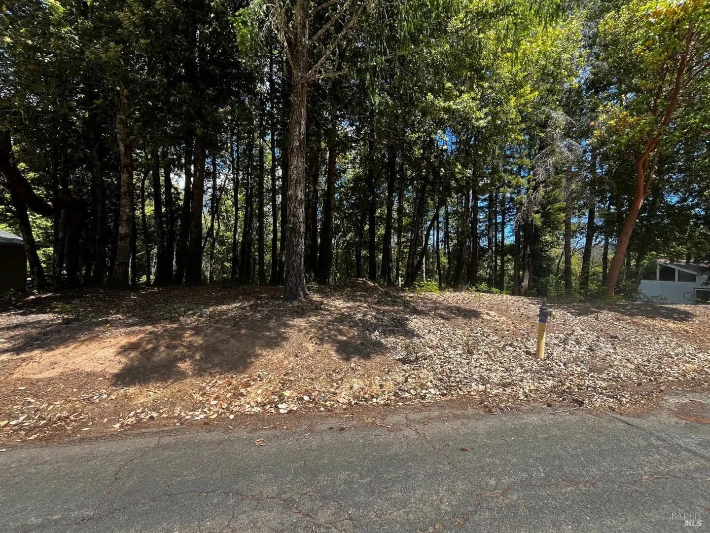 Lots & Land-Other in Willits - Willits, California, 95490