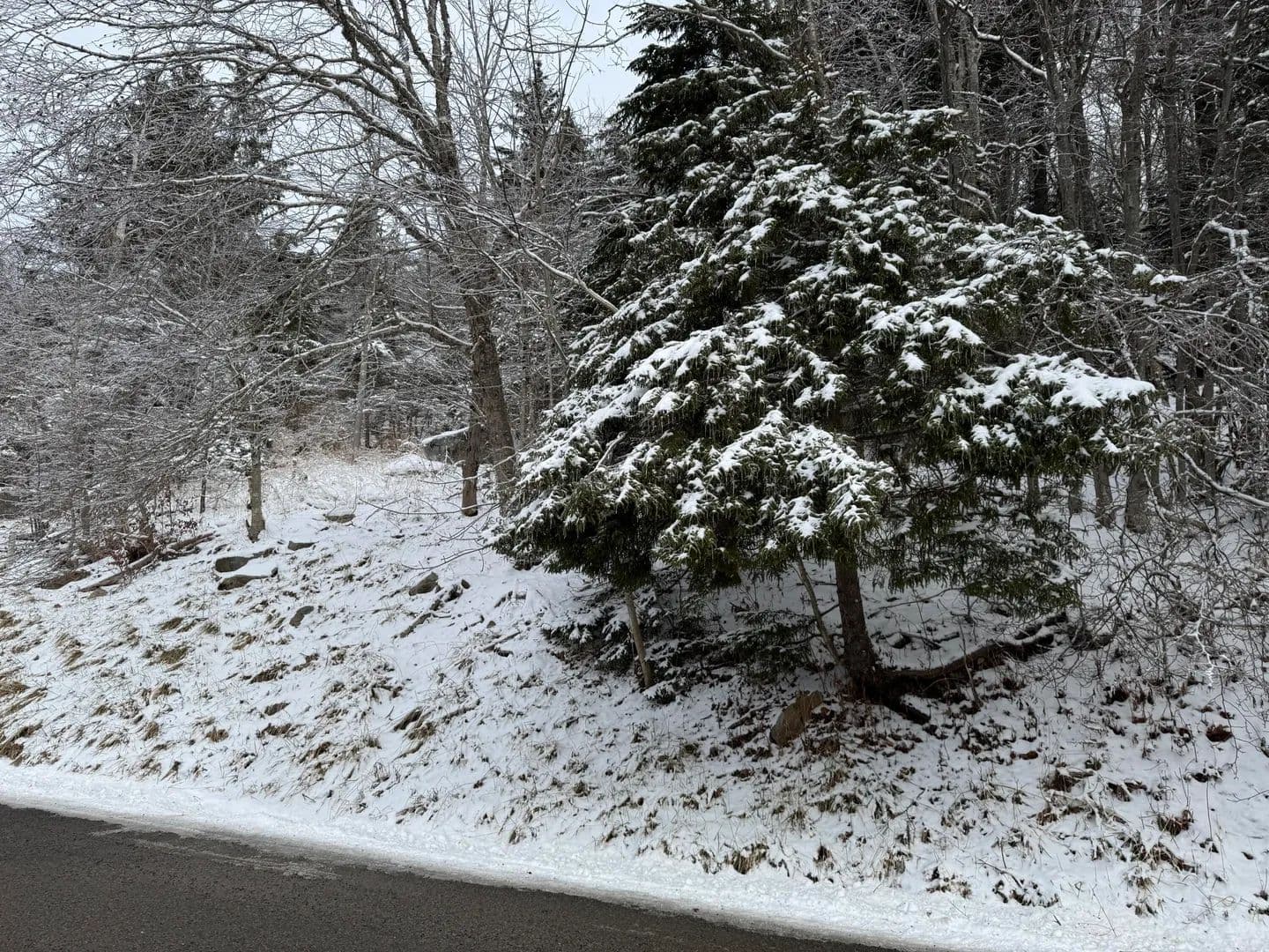 Property from 361 North West Ridge Rd - KW - Snowshoe, West Virginia, 26209