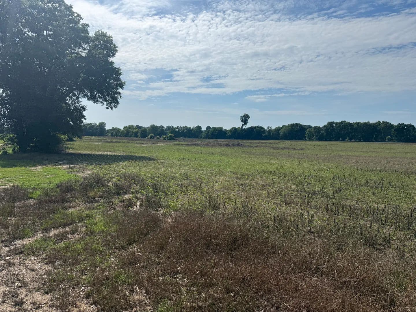Land -Agricultural (Not Zoned) in Union City - Union City, Tennessee, 38261