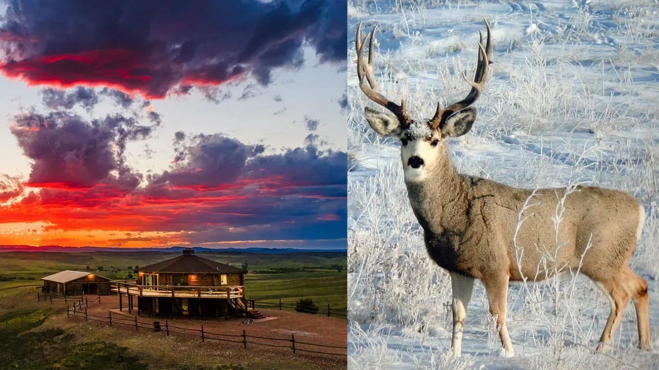 Premier Wyoming Trophy Mule Deer Hunting Property - Sheridan, Wyoming, 82801