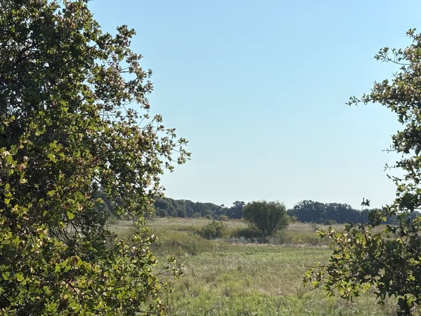 Homesite and Hunting Near McKinnis Creek