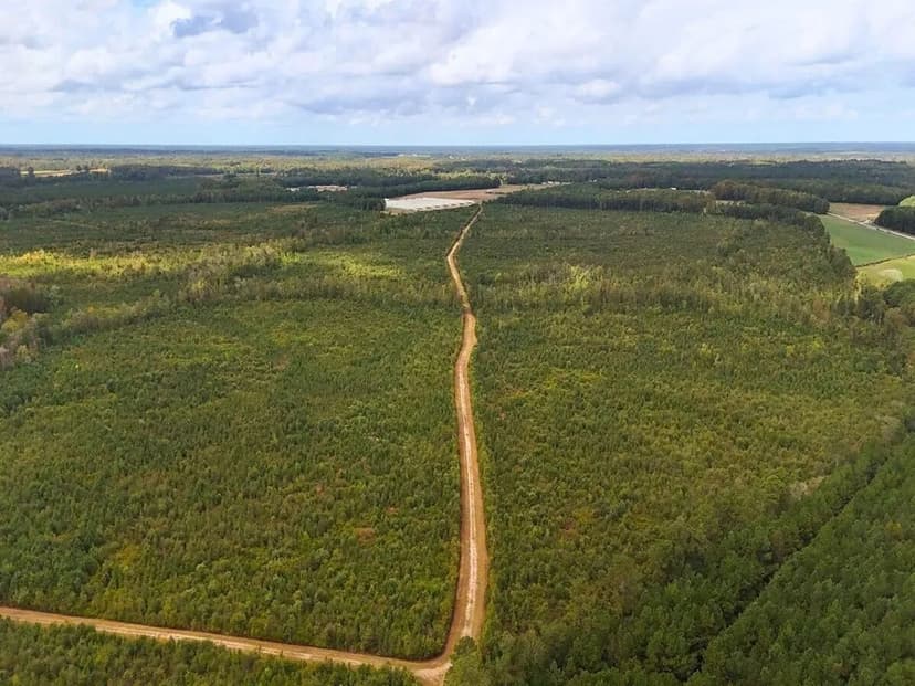 UNDER CONTRACT!! 269.6 acres of Timberland & Recreational Land For Sale in Duplin County, NC!