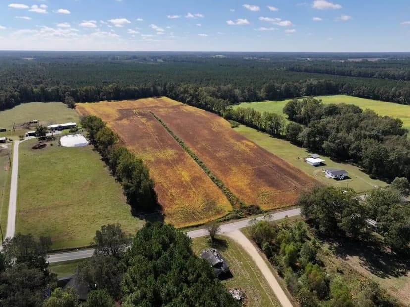 UNDER CONTRACT!! 21.48 +/- Acres of Farmland & Timberland For Sale in Wayne County, NC!