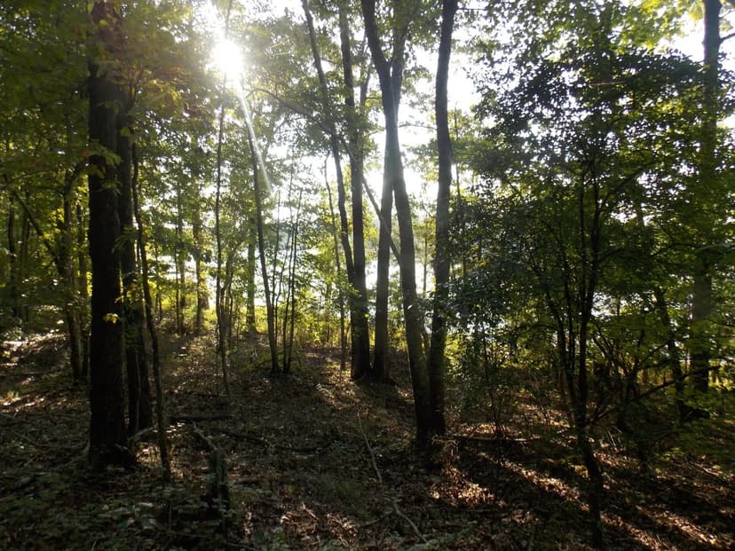 Lots & Land-Other in Lincolnton