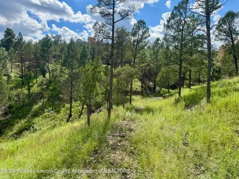 Vacant Land in Ruidoso Downs