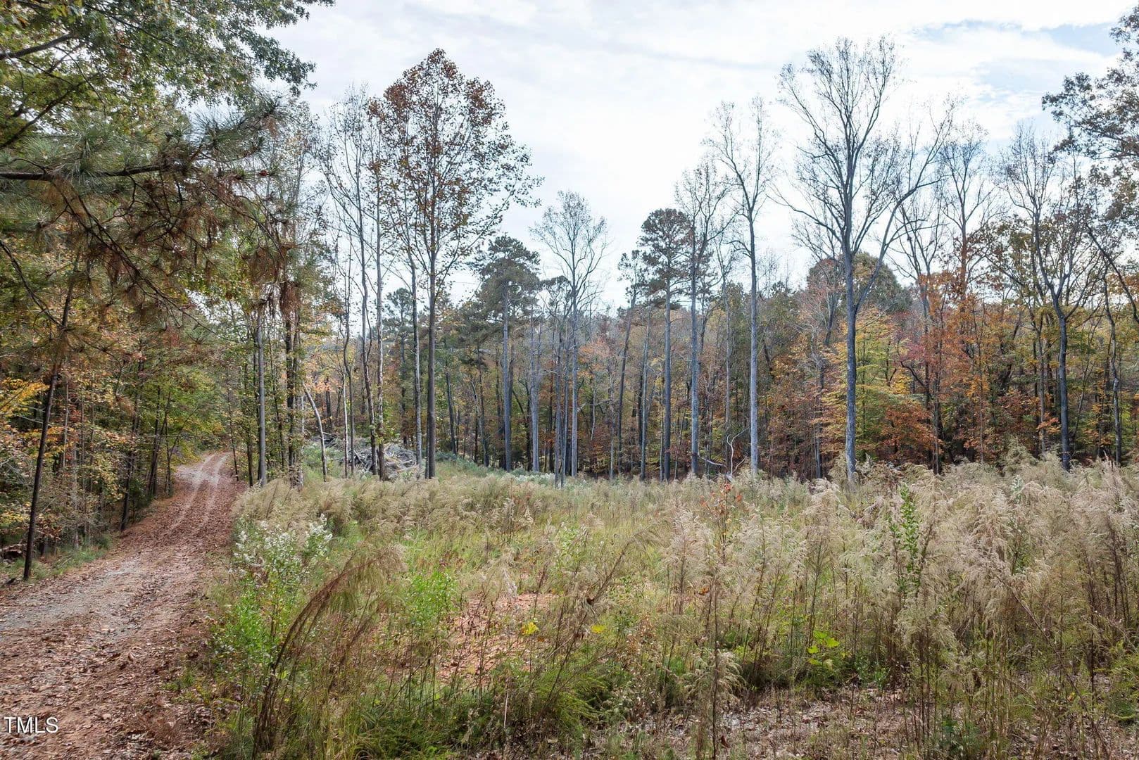 Vacant Land in Raleigh in Raleigh, North Carolina - photo 35