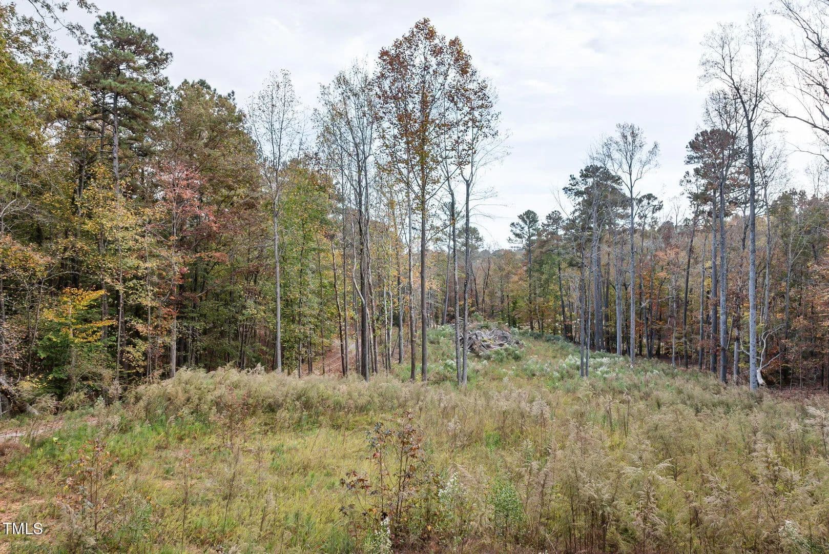 Vacant Land in Raleigh in Raleigh, North Carolina - photo 12