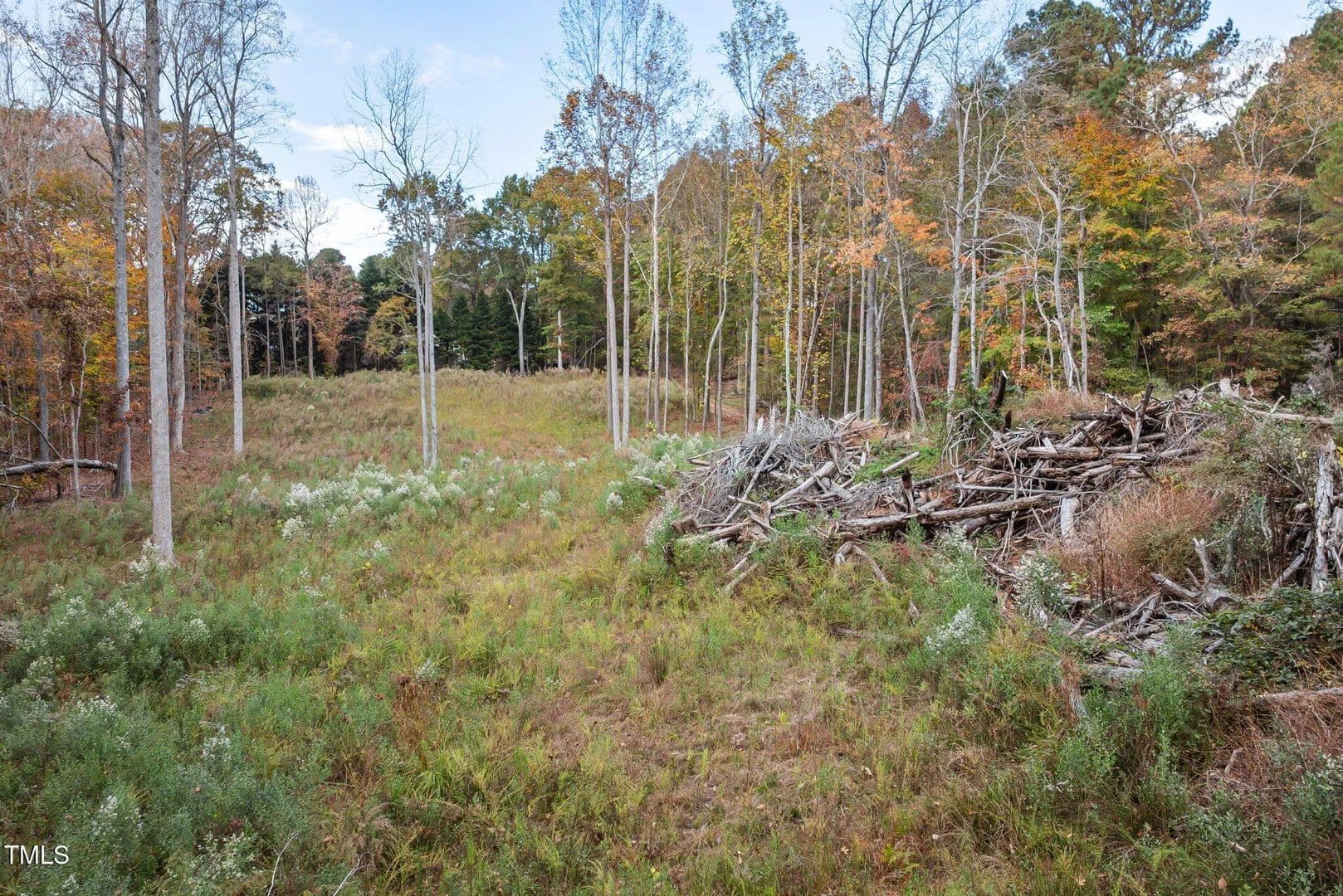 Vacant Land in Raleigh in Raleigh, North Carolina - photo 9
