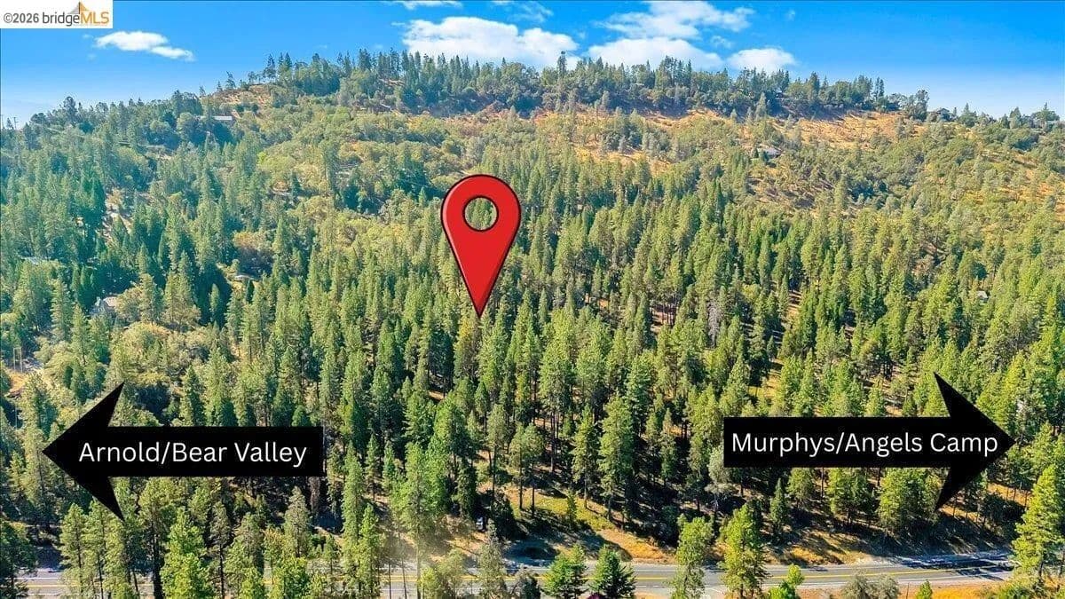 22.34 Acres of Land for Sale in Murphys, CA - Murphys, California, 95247