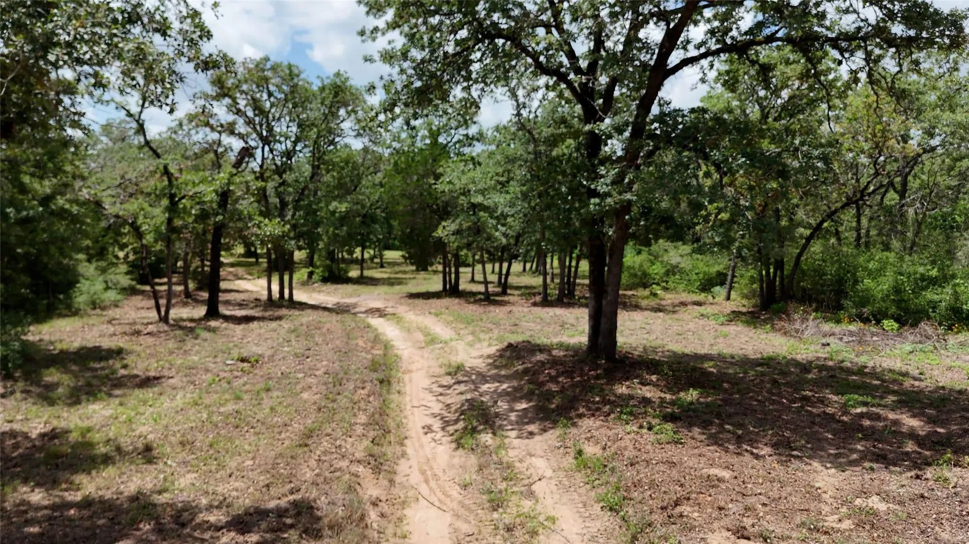 10.2 Acres of Land for Sale in Red Rock, Texas - Red Rock, Texas, 78662