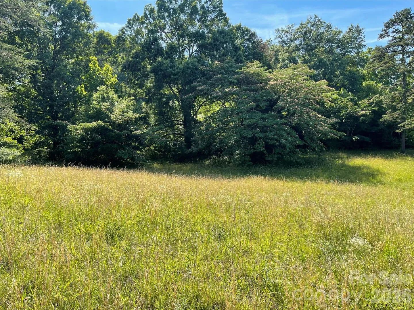 Property from 1308 WHITE Street - KW - Lexington, North Carolina, 27292