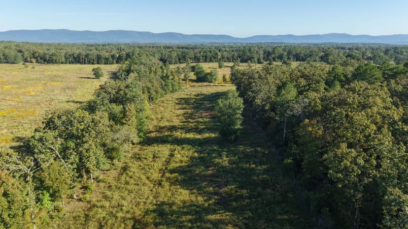 50.15 Acres Polk County, AR