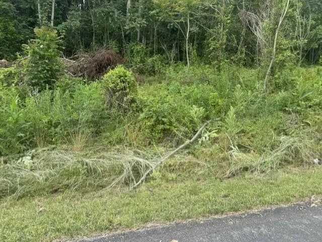 Property from TBD Whispering Pines Rd. #TBD - KW - Max Meadows, Virginia, 24360