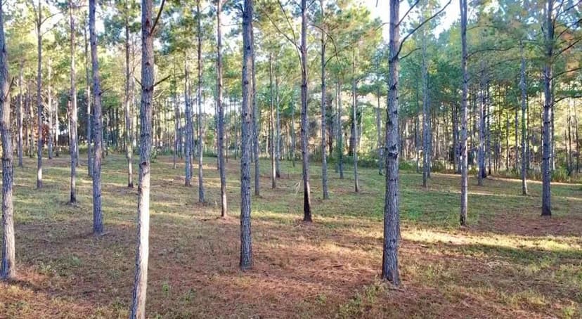 Lots & Land-Other in Cairo