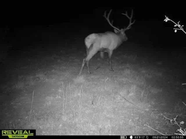 Timber Valley Ranch in Rifle, Colorado - photo 7