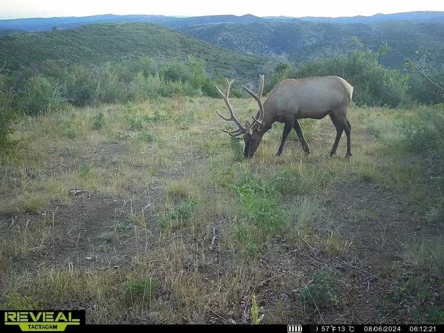 Timber Valley Ranch in Rifle, Colorado - photo 8