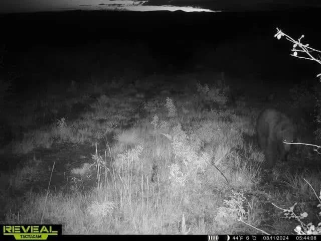Timber Valley Ranch in Rifle, Colorado - photo 36