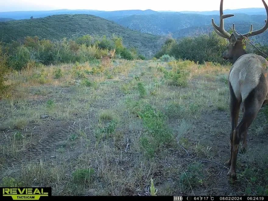 Timber Valley Ranch in Rifle, Colorado - photo 3