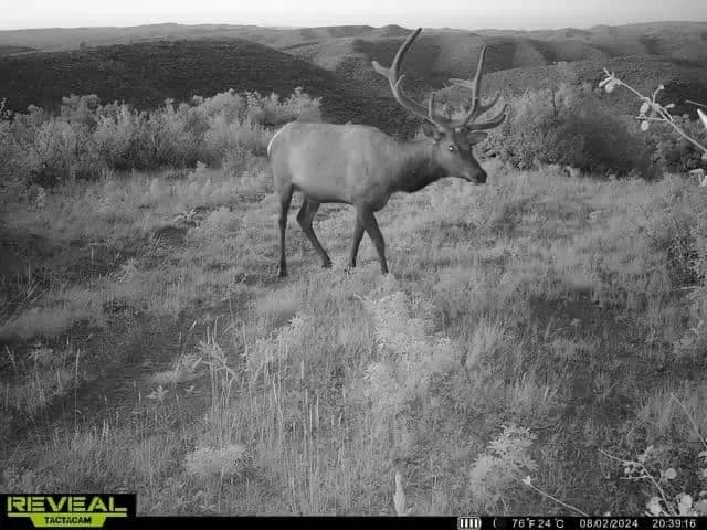 Timber Valley Ranch in Rifle, Colorado - photo 13
