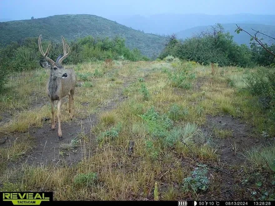 Timber Valley Ranch in Rifle, Colorado - photo 30