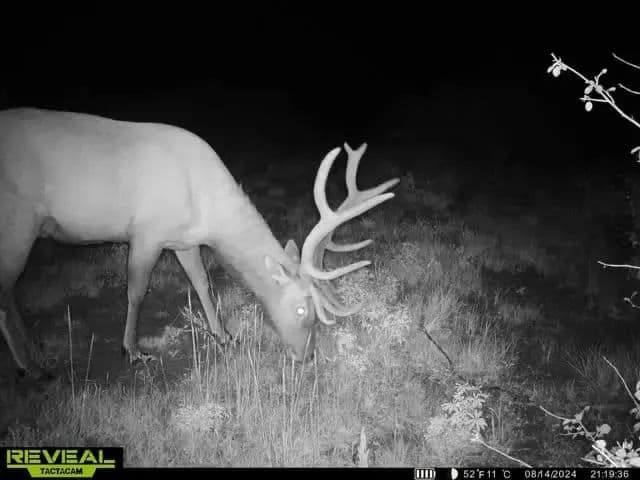 Timber Valley Ranch in Rifle, Colorado - photo 23