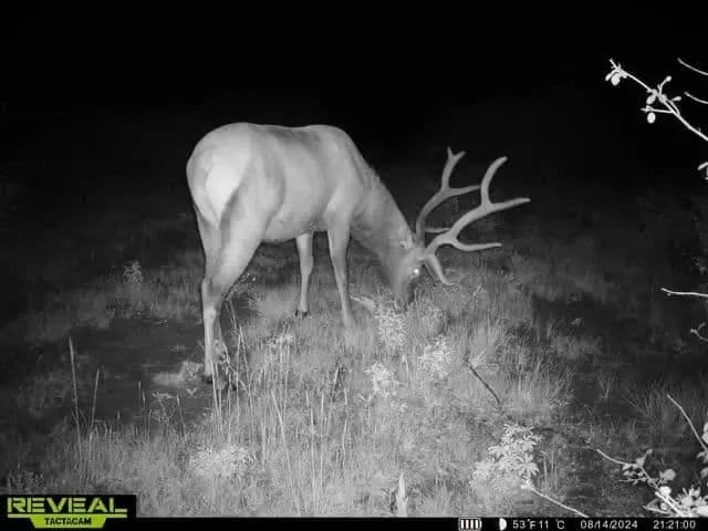 Timber Valley Ranch in Rifle, Colorado - photo 18