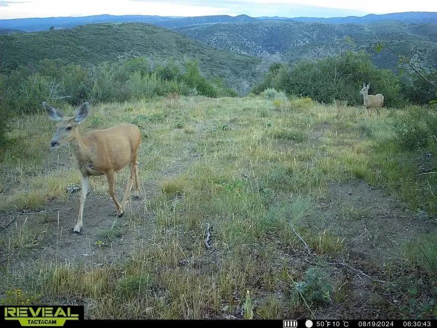 Timber Valley Ranch in Rifle, Colorado - photo 50