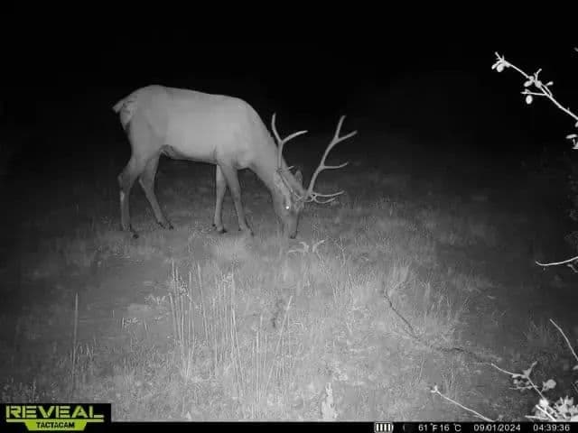 Timber Valley Ranch in Rifle, Colorado - photo 26