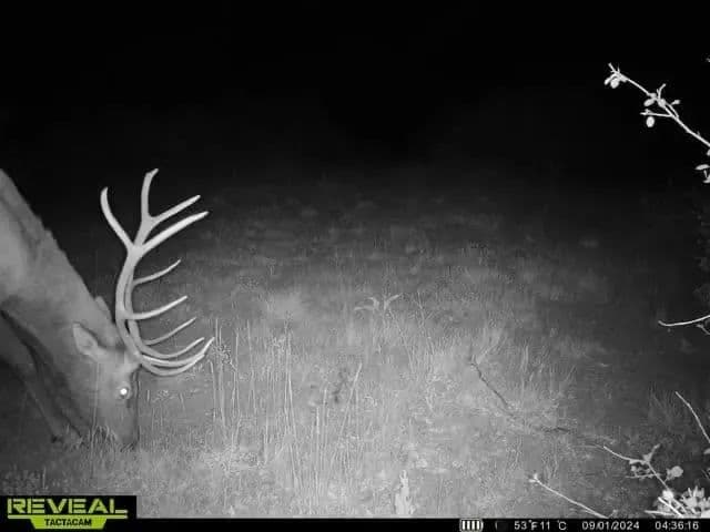 Timber Valley Ranch in Rifle, Colorado - photo 20