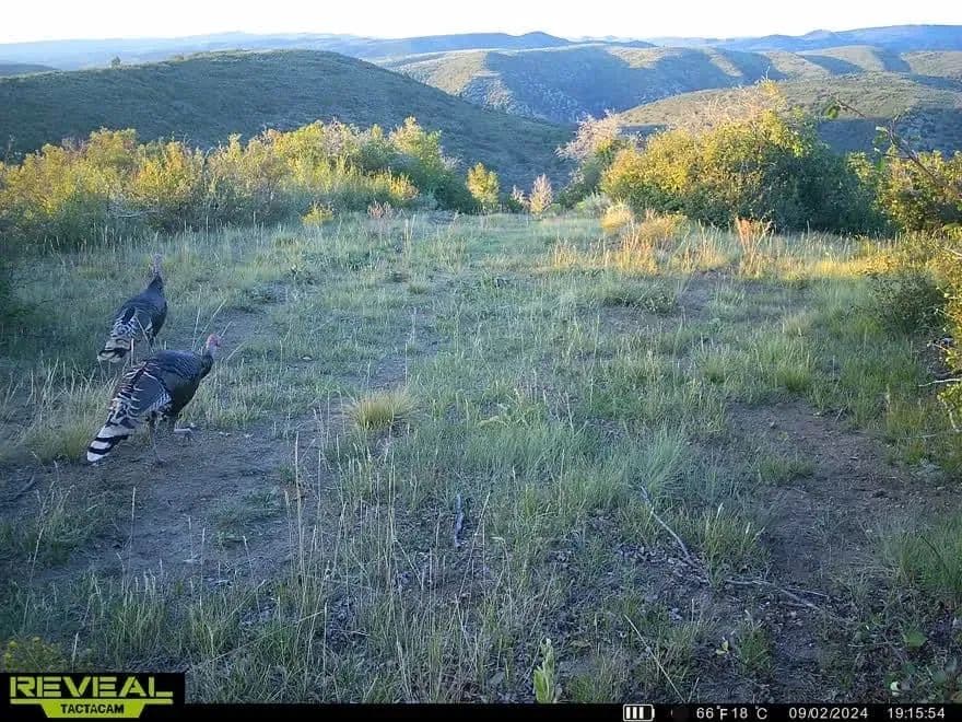 Timber Valley Ranch in Rifle, Colorado - photo 47