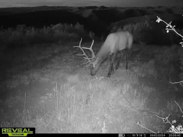 Timber Valley Ranch in Rifle, Colorado - photo 11