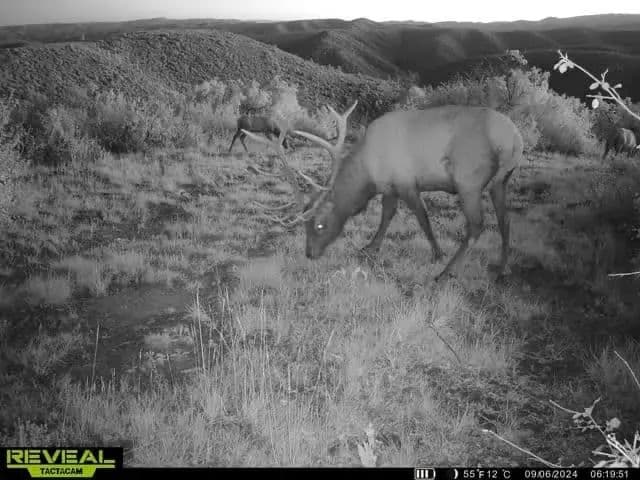Timber Valley Ranch in Rifle, Colorado - photo 6