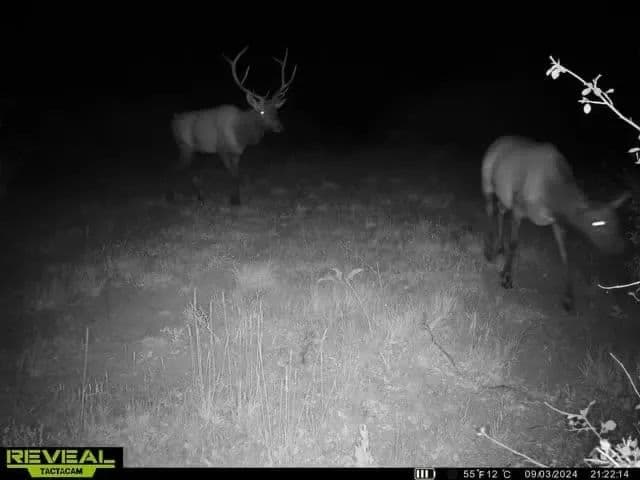 Timber Valley Ranch in Rifle, Colorado - photo 28