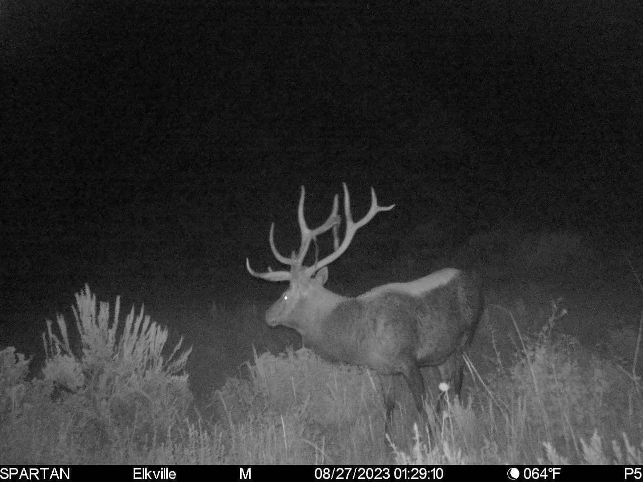 Timber Valley Ranch in Rifle, Colorado - photo 27