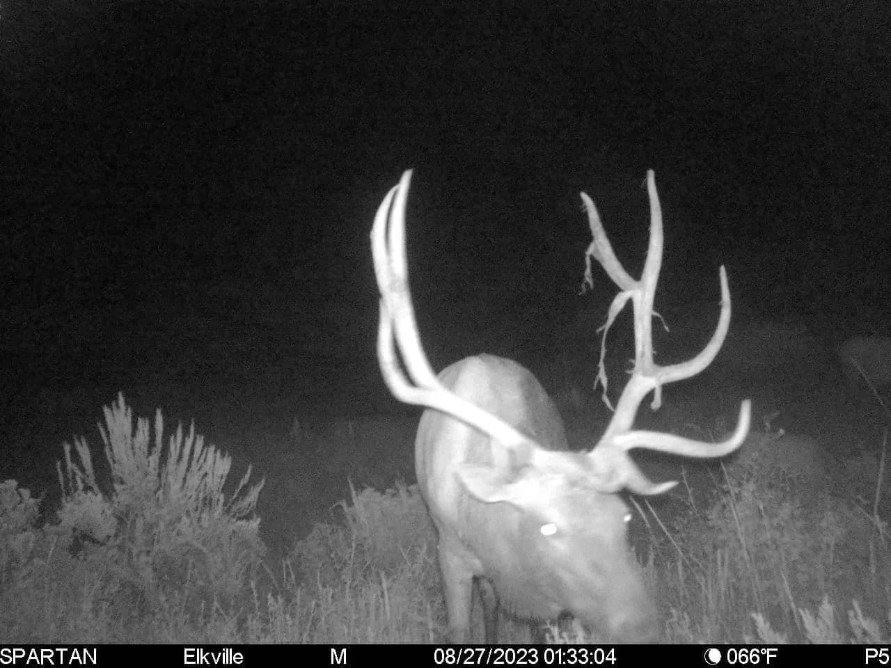 Timber Valley Ranch in Rifle, Colorado - photo 15