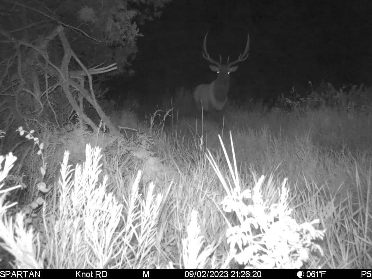 Timber Valley Ranch in Rifle, Colorado - photo 37