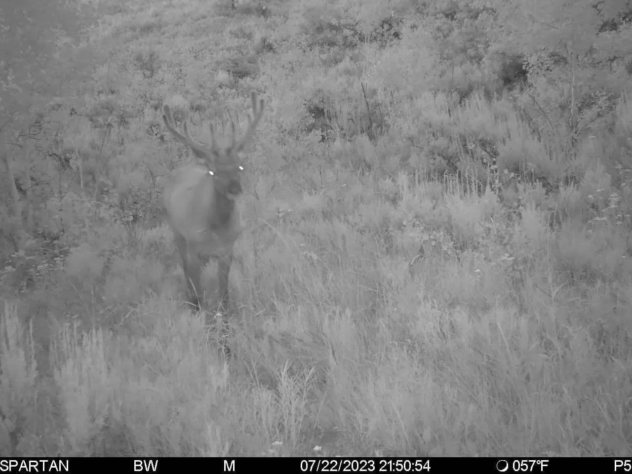 Timber Valley Ranch in Rifle, Colorado - photo 42