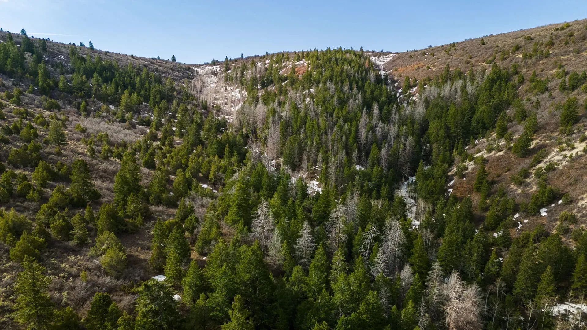 Timber Valley Ranch in Rifle, Colorado - photo 16