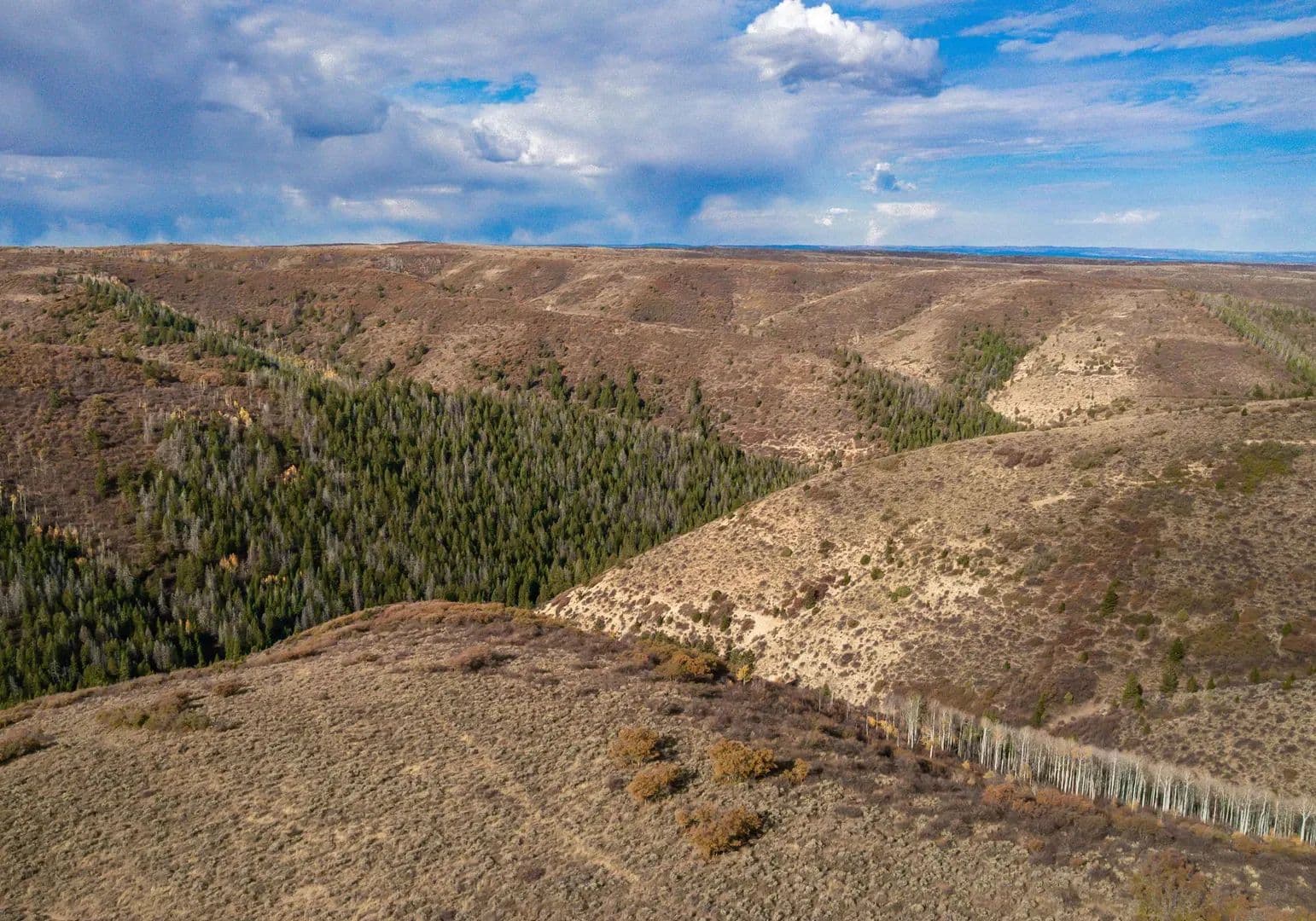 Timber Valley Ranch in Rifle, Colorado - photo 39