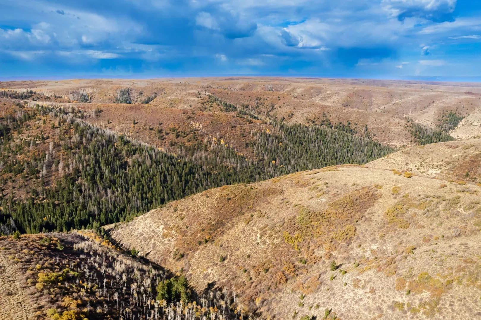 Timber Valley Ranch in Rifle, Colorado - photo 25